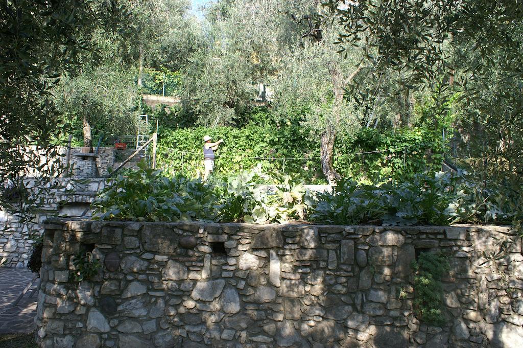 Hotel Riviera Panoramic Green Resort Limone sul Garda Exterior photo